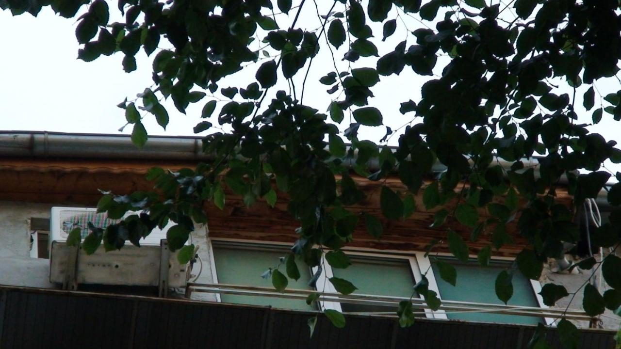 Studio French Embassy, Amzei Historic Center Bucarest Esterno foto